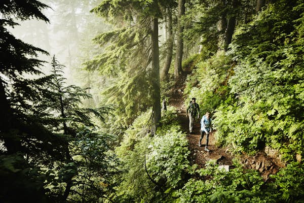 Lonely Planet’s seasoned hikers pick their top hikes in the Americas