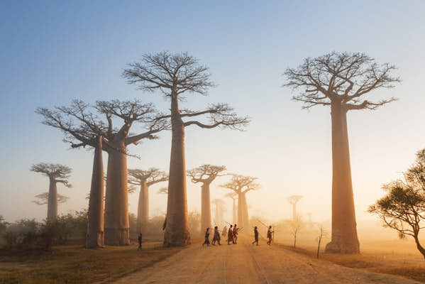 Madagascar: an island unlike any other