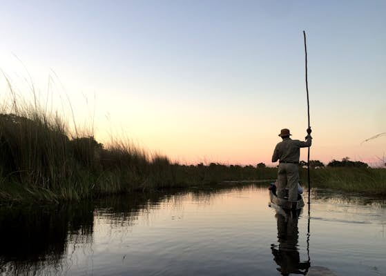 Mokoro and more: a safari like no other in the Okavango Delta