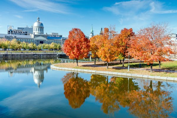 Montréal is enchantingly moody as autumn turns to winter