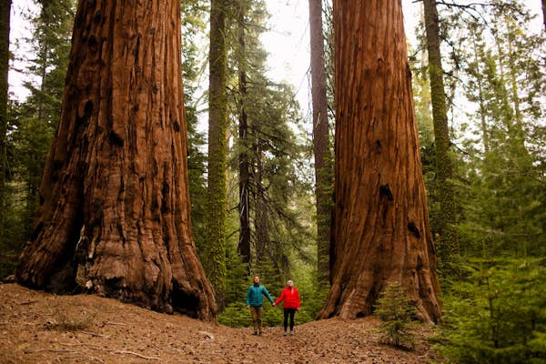 National Parks: Supersized natural wonders in the US