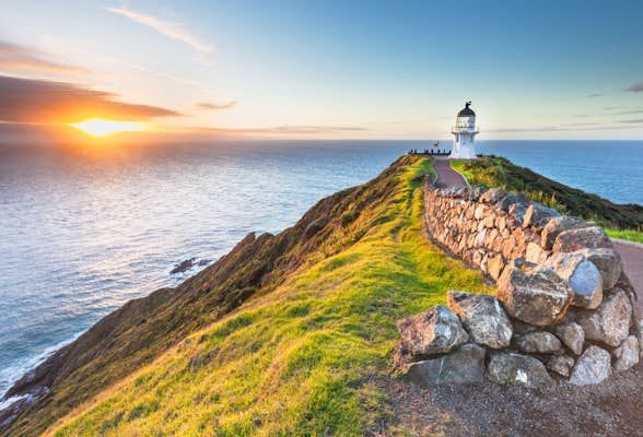 Nature, surf & culture: 7 things to do in New Zealand’s Northland