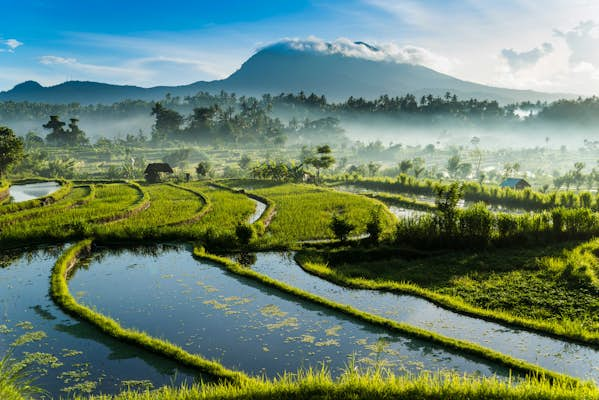 Off the tourist trail in Bali: the best less-visited spots