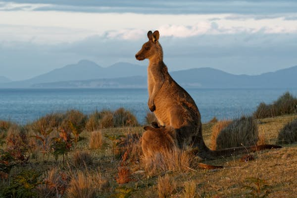 Offbeat Australia — where to find unexplored gems this summer