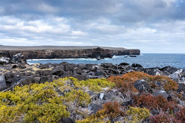 On a trip to the Galápagos Islands, class is in session