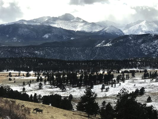 Over my head: Going to the backcountry for a first skiing experience