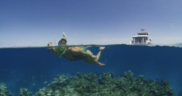 Queensland by Sea: Vivid experiences on and under the water