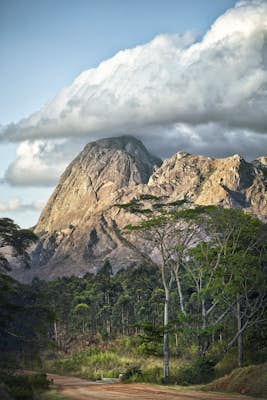 Reaching new highs in the mountains of Malawi