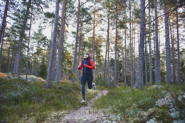 Runs in the midnight sun – the Lonely Planet guide to trail running in Sweden