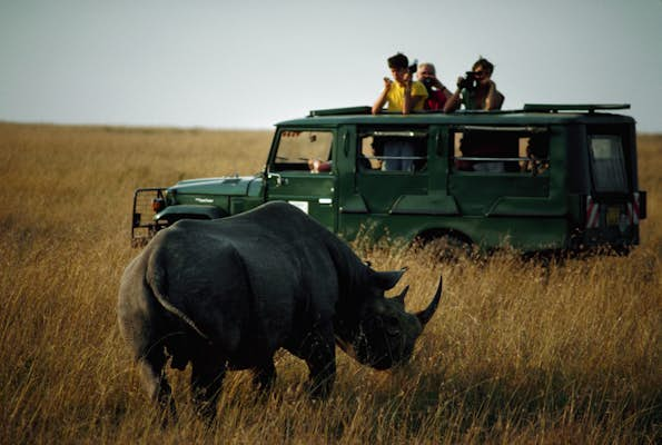 Safari animals: the story of rhinos and the best places to see them in 2022