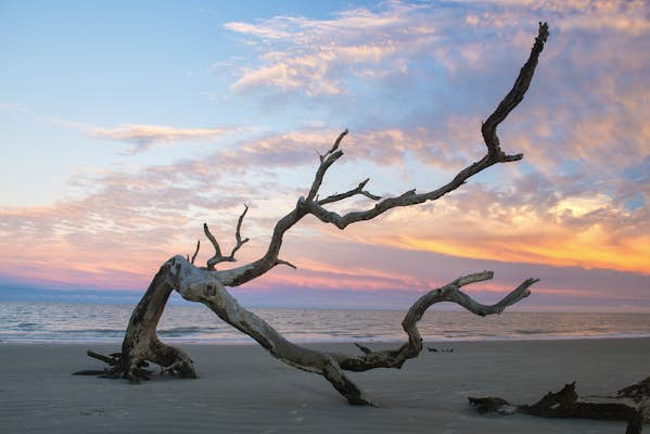 Secrets of Jekyll Island: the storied past of a Golden Isle