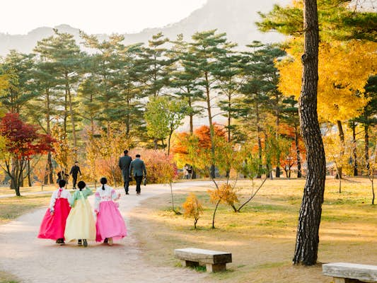 Seoul’s best autumn walks