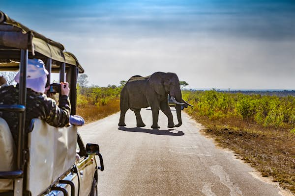 South Africa safaris for first-timers: 8 things to know before you book