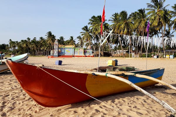 Sun, sand and Sigiriya: tips for family travel in Sri Lanka