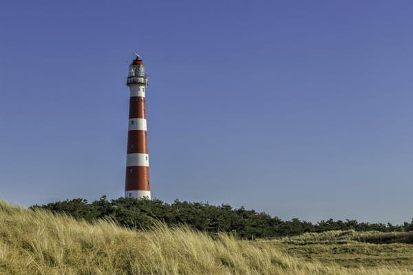 Sun, sea, and Schiermonnikoog: which Frisian Island is right for you?