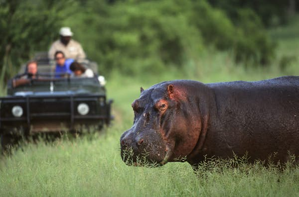 The 10 best things to do in Malawi