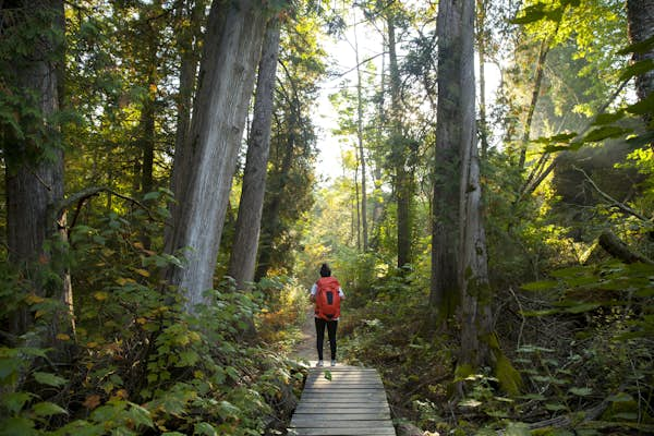 The 5 best hiking trails in Wisconsin: from gentle strolls to epic through-hikes