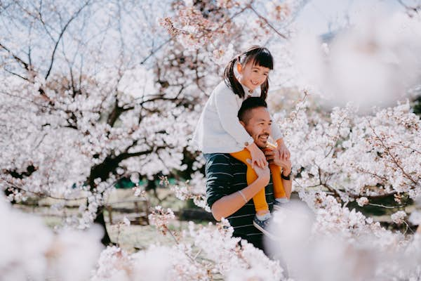 The 5 best places to see Japan’s cherry blossoms