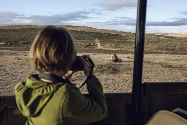 The 5 best places to see wildlife with your kids