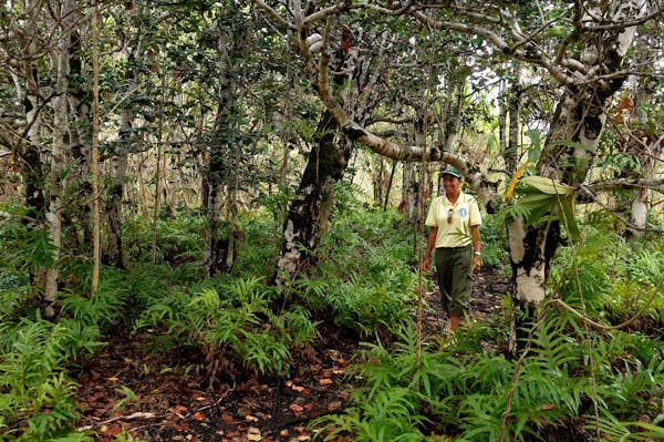 The 6 best hikes in Mauritius