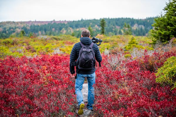 The 6 best hikes in West Virginia