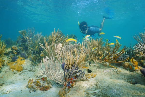 The 8 best places to dive and snorkel in Central America