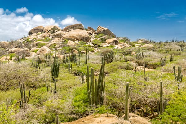 The best hikes in Aruba take you from tropical beaches to cactus-covered peaks