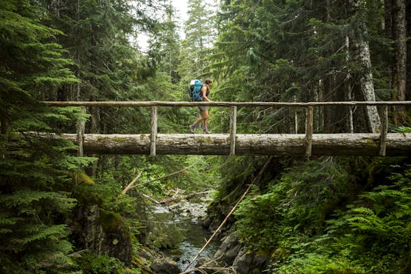 The best hikes in Olympic National Park offer sea stacks, waterfalls and ancient petroglyphs