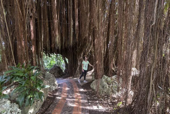 The best parks and gardens in Barbados for soaking up the tropical air