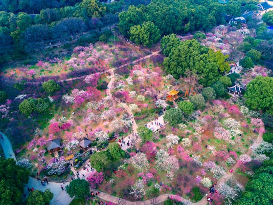 The best parks in Seoul for families, athletes, lovers and everyone else