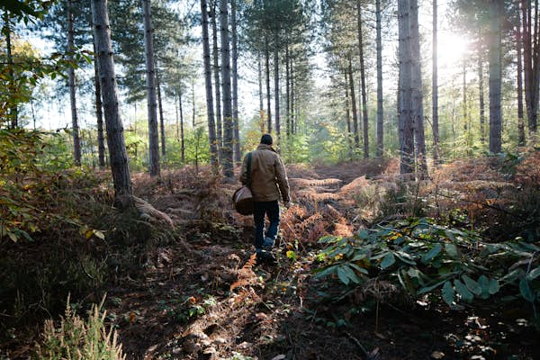 The best places to go foraging in the US