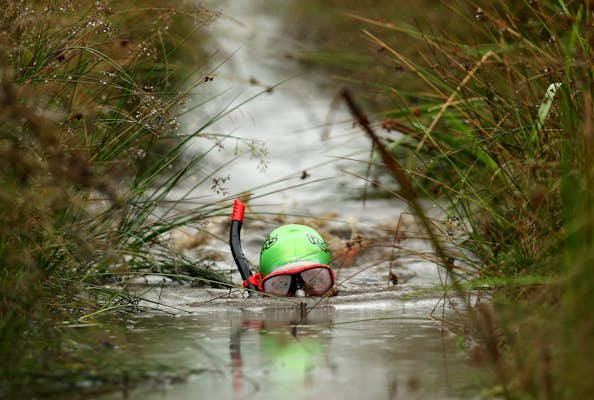 The best time to visit Wales for food, hiking or bog snorkeling