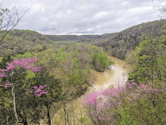 The complete guide to Mammoth Cave National Park