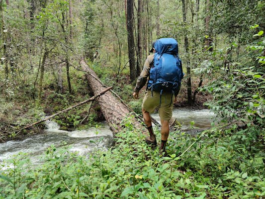 The quest to revive Oaxaca’s centuries-old mountain trails one hike at a time