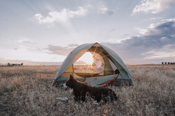 The websites and apps that can help plan your next camping trip