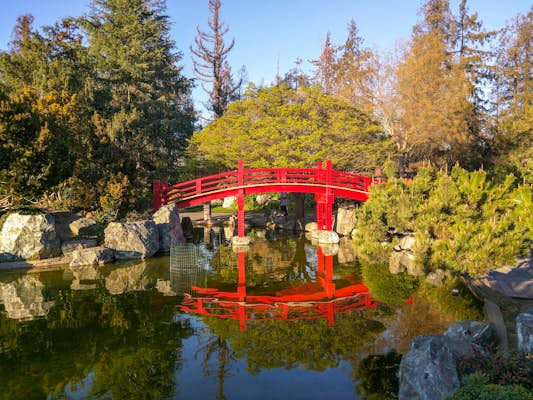 These San Jose city parks feel miles away city hustle