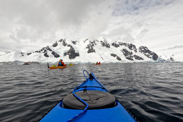 This is your brain on Antarctica: penguins, icebergs, and a lifetime supply of awe