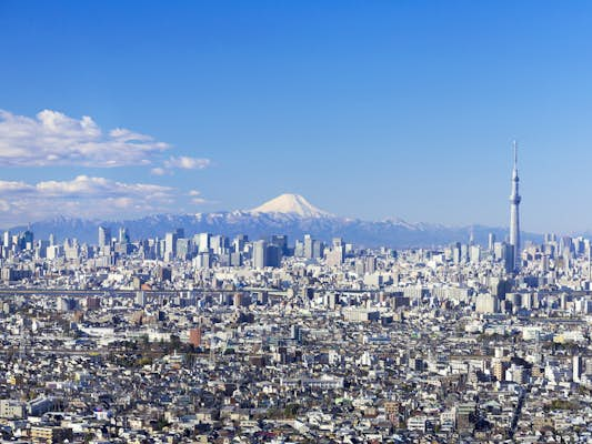 Tokyo in winter: what to see, do and eat