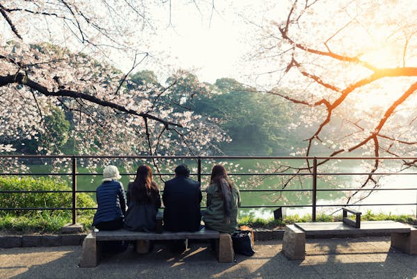 Tokyo’s 10 best parks and green spaces: stroll through beautiful garden scenery