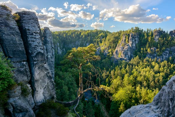 Top 10 national parks in Germany