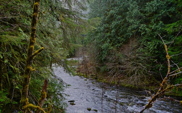 Top 10 Oregon spots for cold weather fly fishing