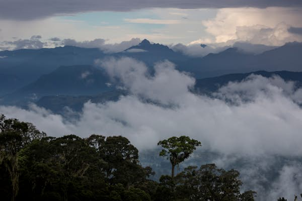 Top Papua New Guinea experiences