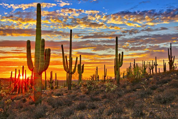 Under the radar USA: Tucson is more than its cactus