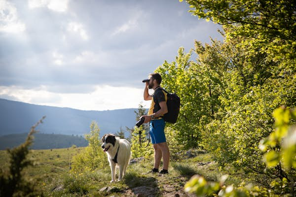 Vermont’s 7 best hiking trails 