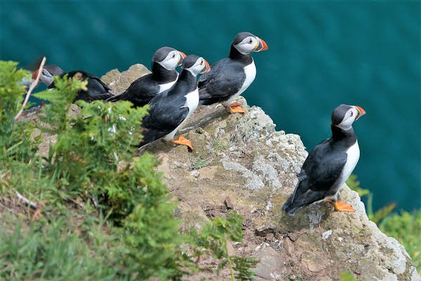 Wales in spring – the best of Cymru when the weather warms up