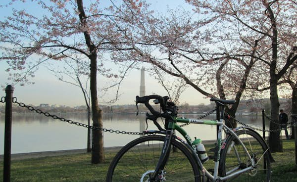 Washington DC by bike: a step-by-step guide