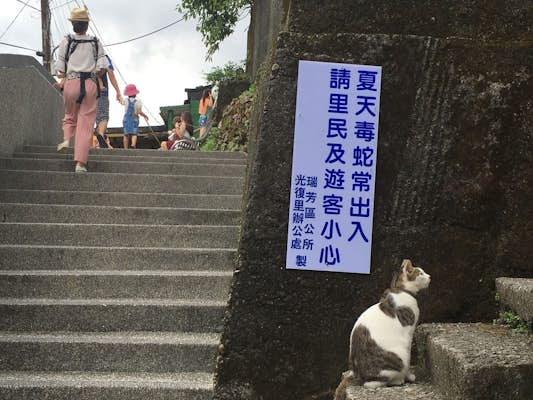 Welcome to purridise: Taiwan’s Houtong Cat Village