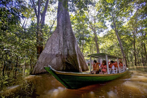 Welcome to the jungle: planning your Amazon adventure