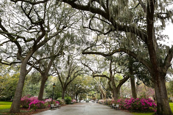 What to do in Savannah’s most beautiful parks and open spaces