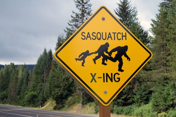 Where to find Sasquatch in the Pacific Northwest (and what to do if you don’t find them)